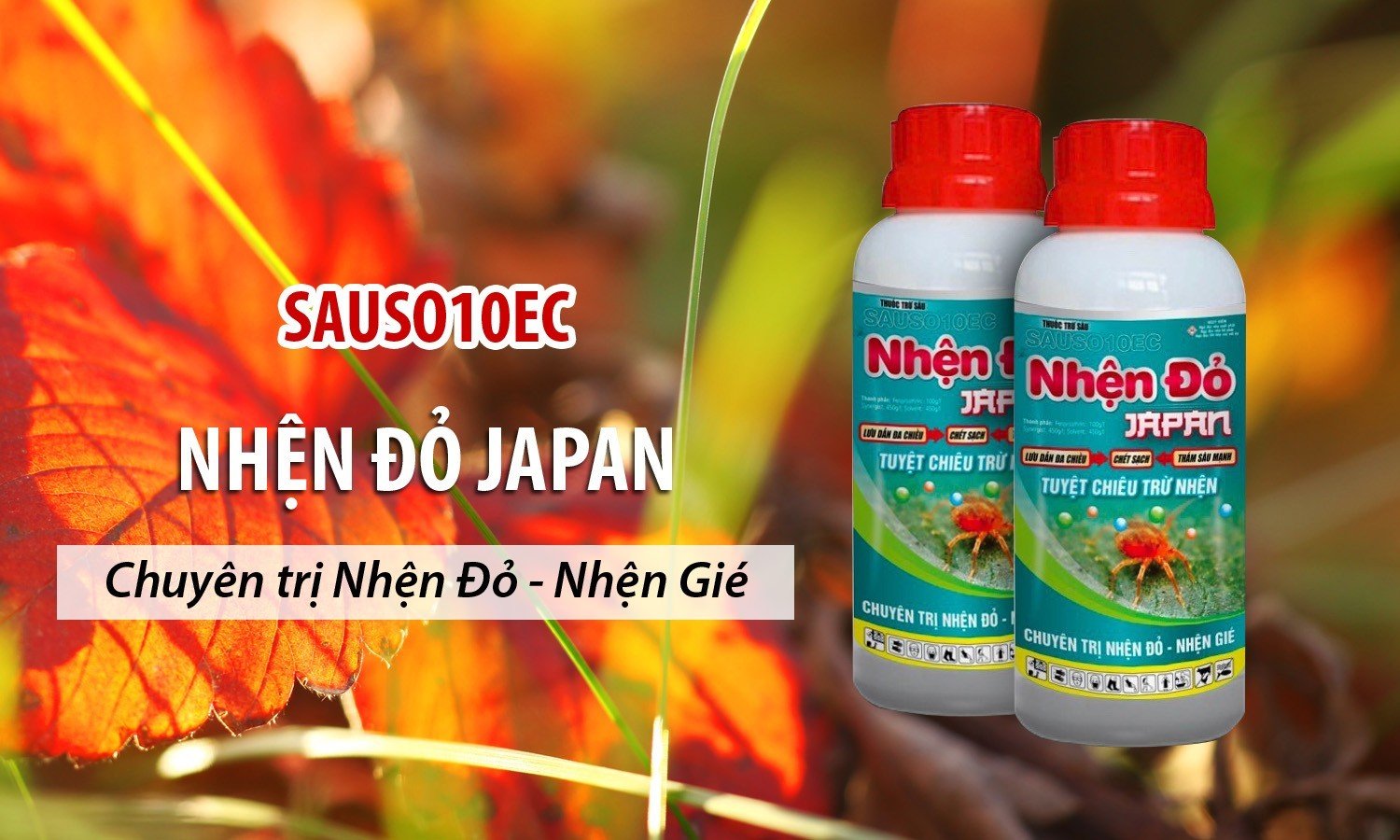 Sauso 10EC Nhện đỏ Japan