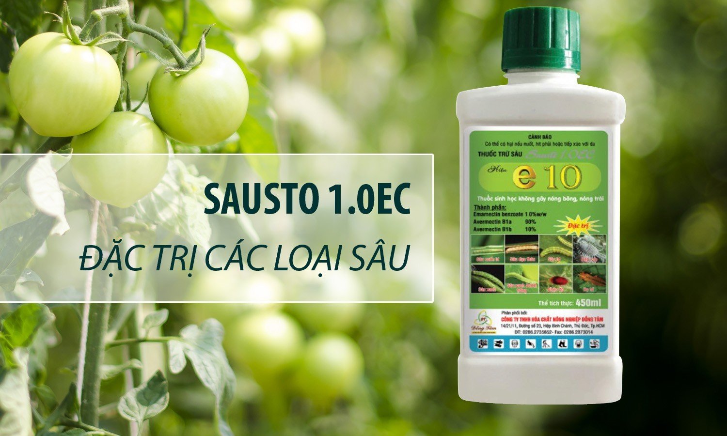 E10 (Sausto) 1.0EC